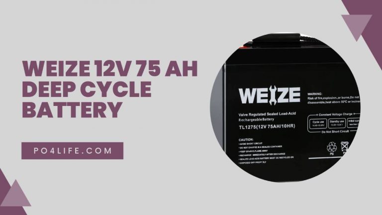 Weize 12V 75 Ah Deep Cycle Battery Reviews